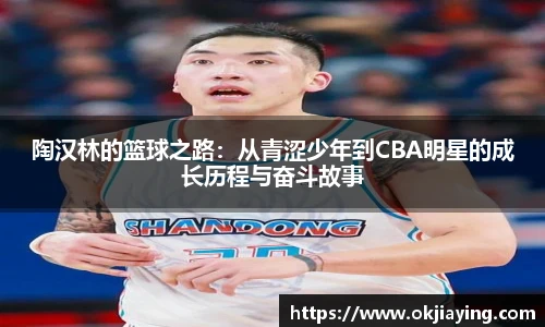陶汉林的篮球之路：从青涩少年到CBA明星的成长历程与奋斗故事